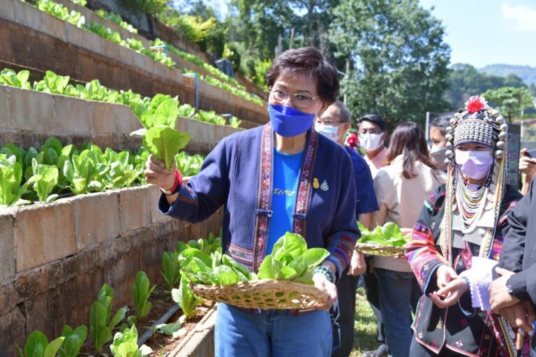 ‘คุณหญิงกัลยา’​ ดัน Coding ขยายผลโครงการอัจฉริยะเกษตรประณีตสู่ 346 โรงเรียน มุ่งสร้างกระบวนการคิด วิเคราะห์ สยายปีกสู่การปฏิบัติจริง ยกระดับองค์ความรู้ด้านเกษตรกรรม สร้างประโยชน์ต่อชุมชนและเศรษฐกิจประเทศ