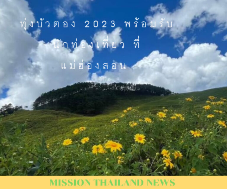 ทุ่งบัวตอง 2023 พร้อมรับนักท่องเที่ยว ที่แม่ฮ่องสอน