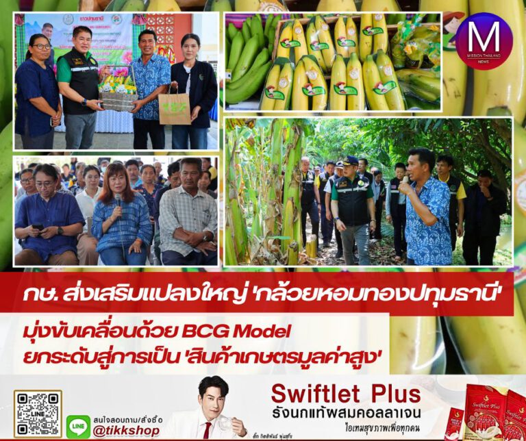 กระทรวงเกษตรฯ ส่งเสริมแปลงใหญ่ “กล้วยหอมทองปทุมธานี” มุ่งขับเคลื่อนด้วย “BCG Model” พร้อมยกระดับสู่การเป็นสินค้าเกษตรมูลค่าสูง