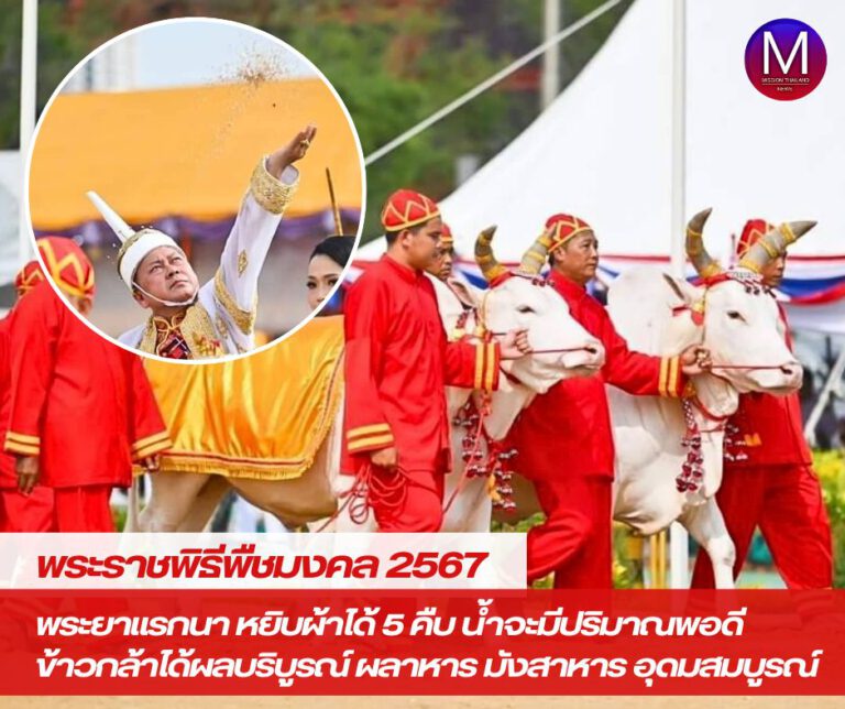 พระราชพิธีพืชมงคลจรดพระนังคัลแรกนาขวัญ 2567 พระยาแรกนาได้เสี่ยงทายหยิบผ้าได้ 5 คืบ พยากรณ์ว่า น้ำในปีนี้จะมีปริมาณพอดี ข้าวกล้าในนา จะได้ผลบริบูรณ์ และผลาหาร มังสาหาร จะอุดมสมบูรณ์ดี