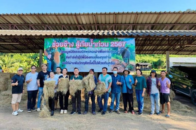 “ร.อ.ธรรมนัส”โพสต์ “มูลนิธิธรรมนัสพรหมเผ่า”นำอาหารไปช่วยเหลือช้าง จ.เชียงใหม่ ที่ประสบภัยน้ำท่วม ประกาศ ปางที่เดือดร้อนอาหารช้างรับได้ที่ ปางช้างล้านนาคิงด้อม